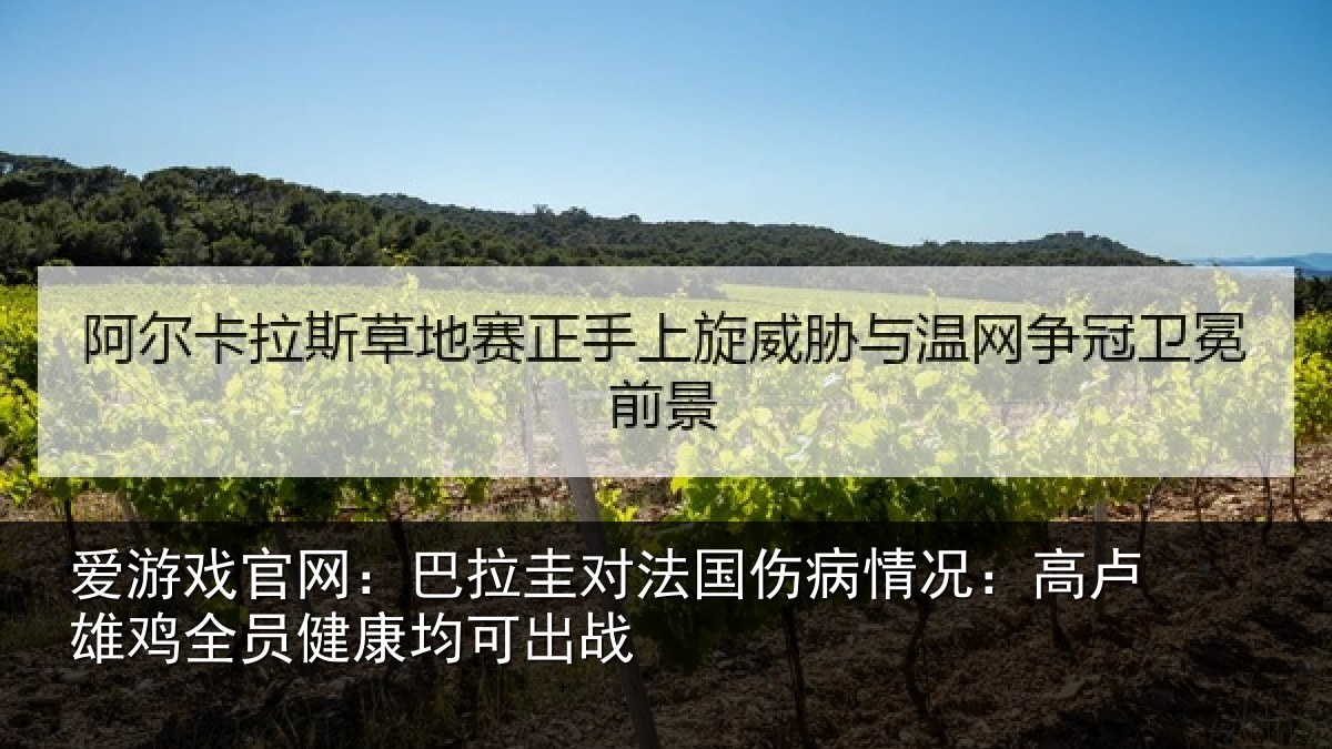 爱游戏官网：巴拉圭对法国伤病情况：高卢雄相关情况战