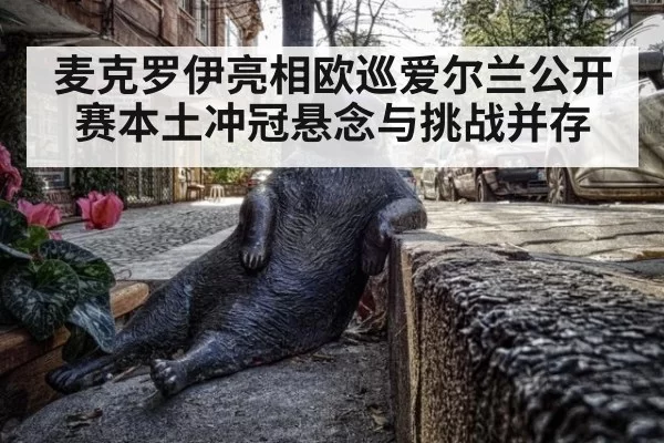 麦克罗伊亮相欧巡爱尔兰公开赛本土冲冠悬念与挑战并存